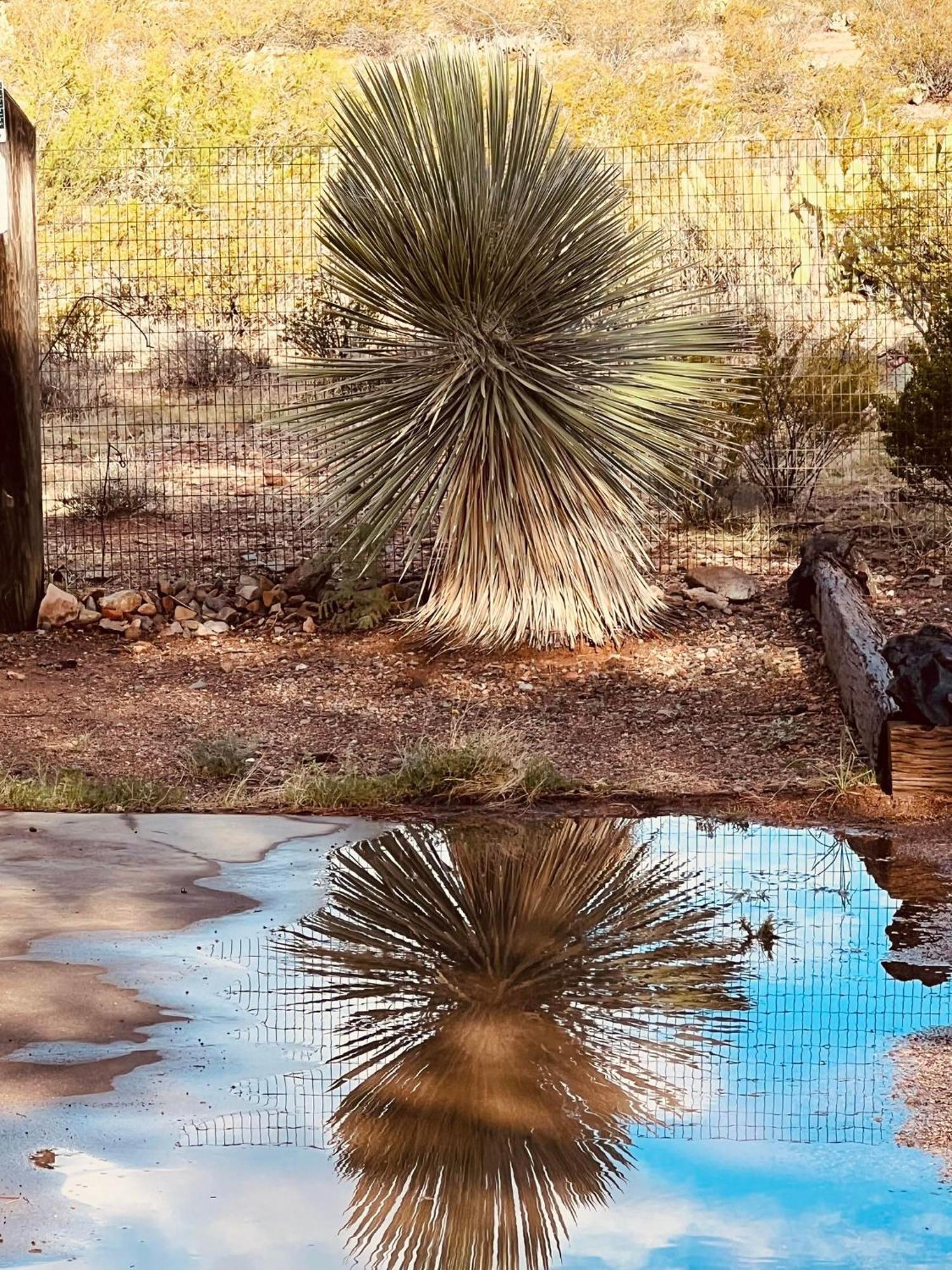 Hole In The Wall Getaway - Usa Mexico Border Bed And Breakfast Columbus 外观 照片